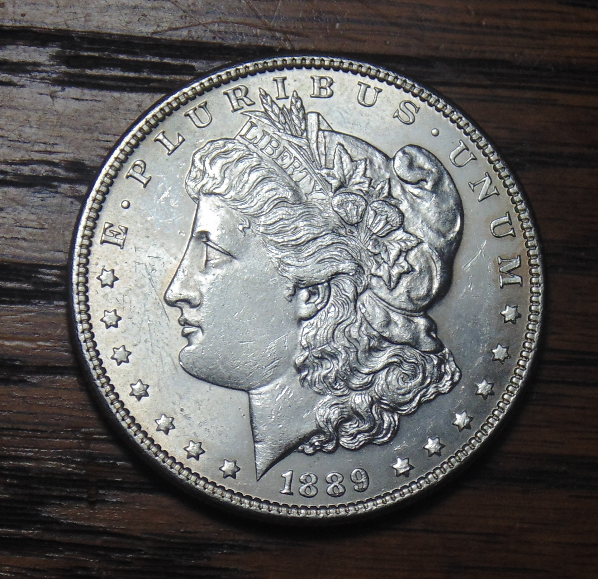 1889-1.jpg