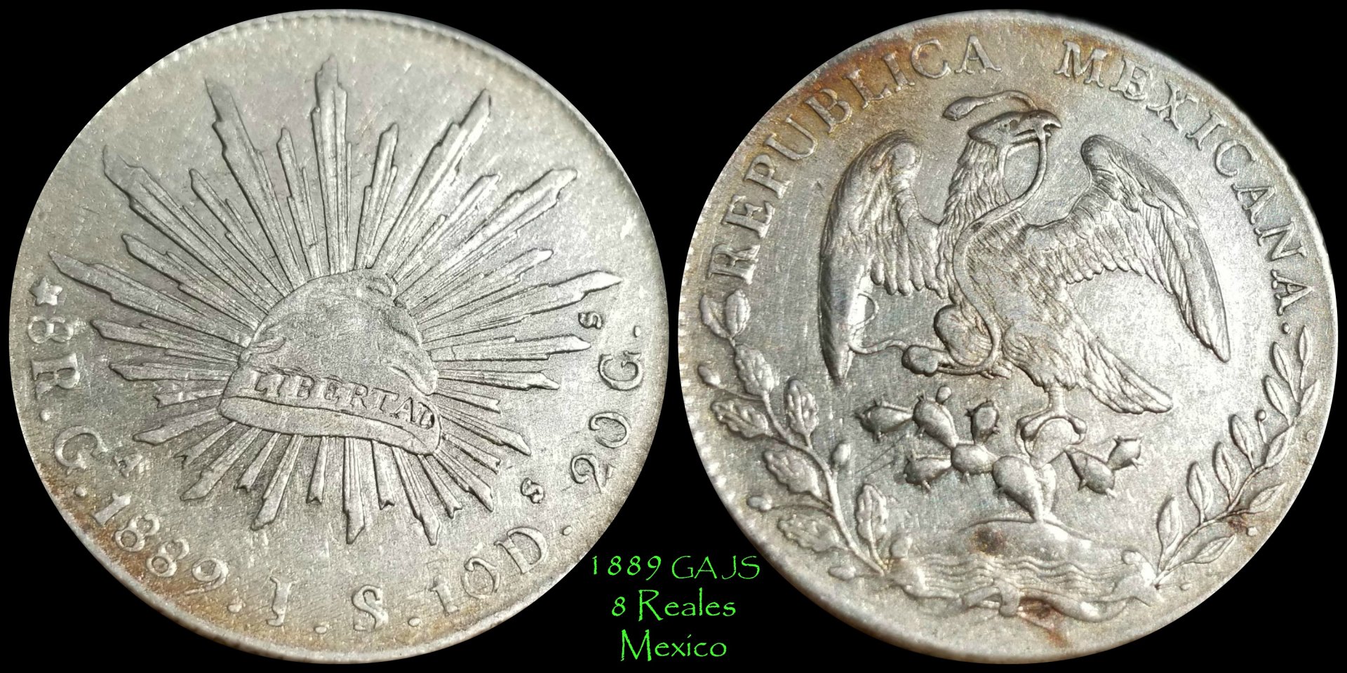 1889 8r gajs Mexico.jpg