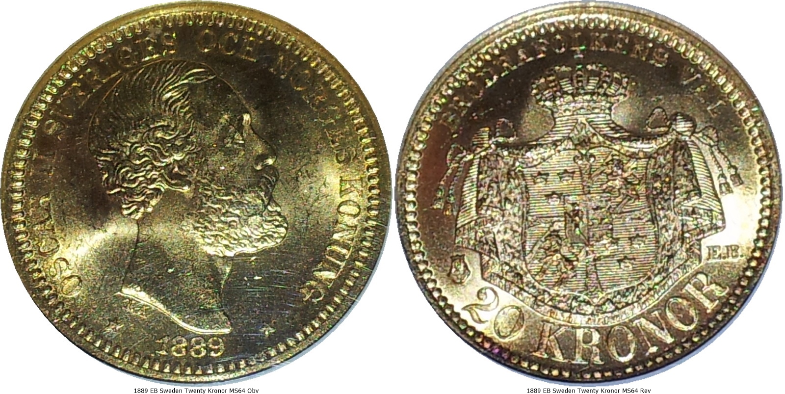 1889 EB Sweden Twenty Kronor MS64 Obv-tile.jpg