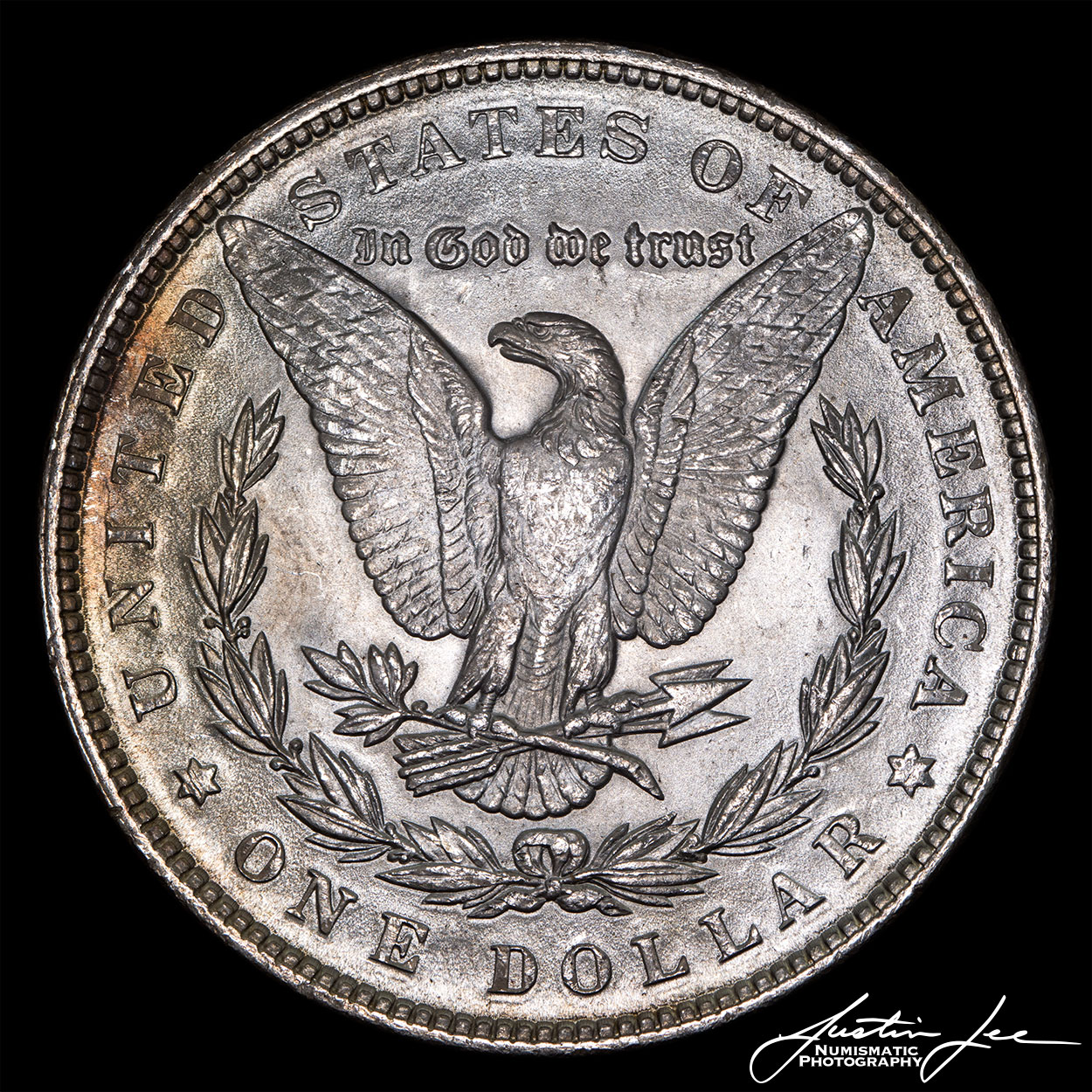 1889-Morgan-Dollar-Reverse-Axial-Lighting.jpg