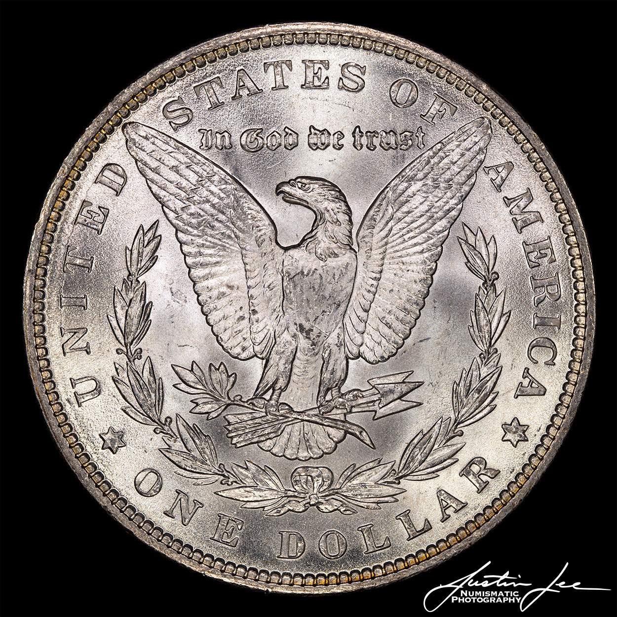 1889-Morgan-Dollar-Reverse.jpg