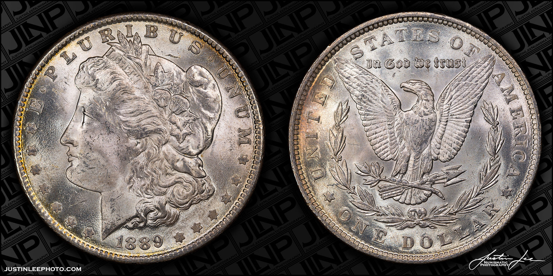 1889-Morgan-Dollar-Traditional-Lighting.jpg
