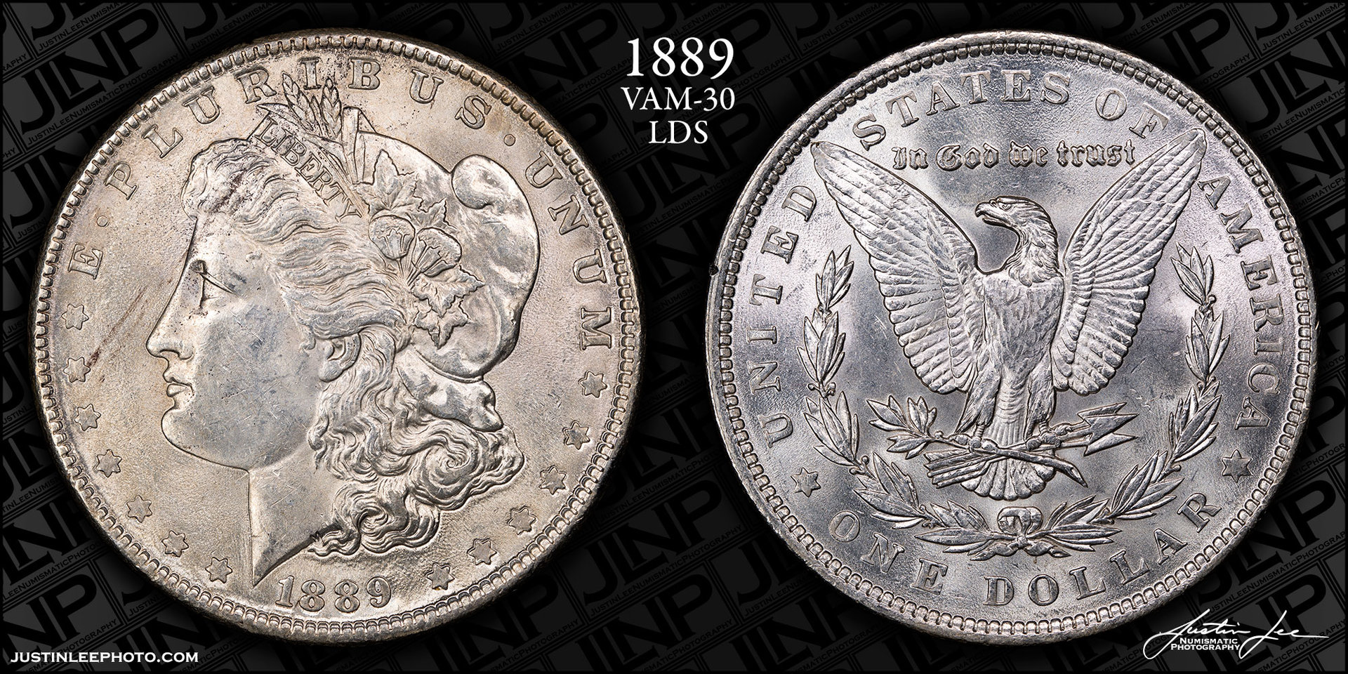 1889-Morgan-Dollar-VAM-30-LDS.jpg