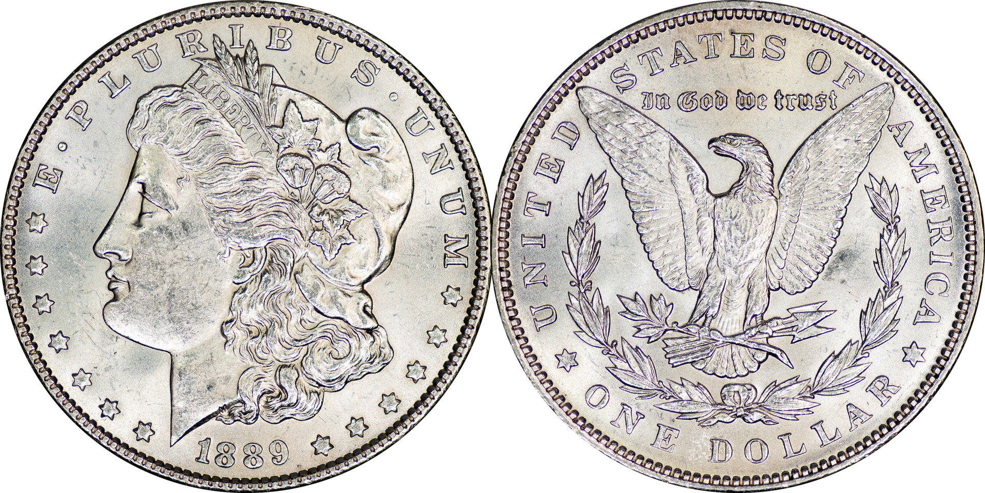 1889 Morgan Dollar VAM5A.jpg