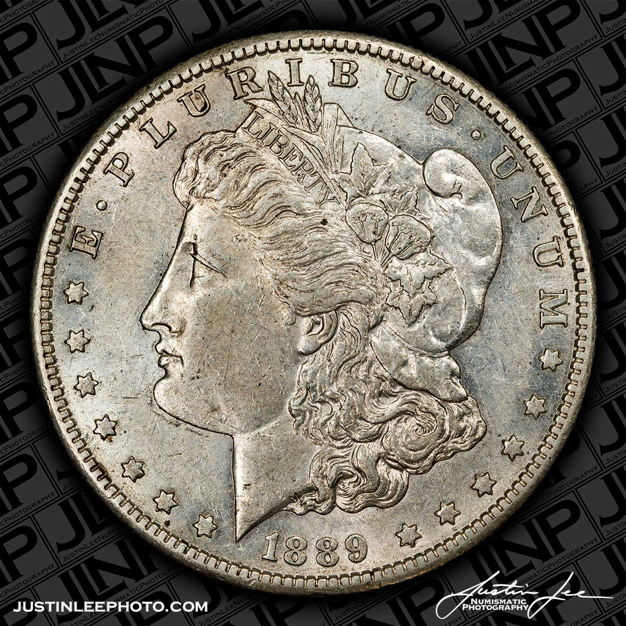 1889-S-Morgan-Dollar-Obverse-JLNP.jpg