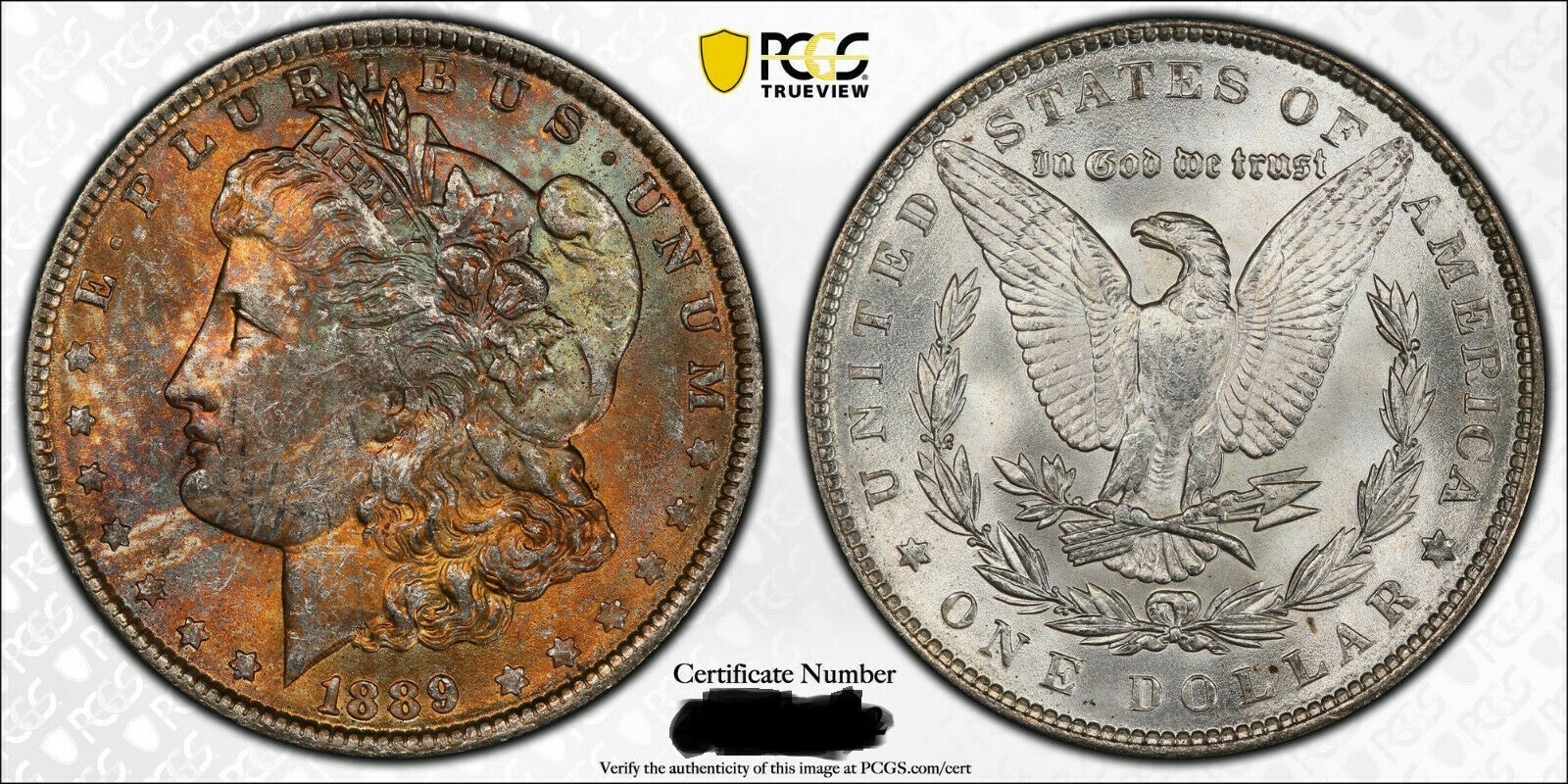 1889tvblk.jpg