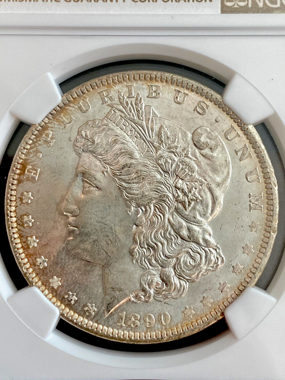 1890.jpg