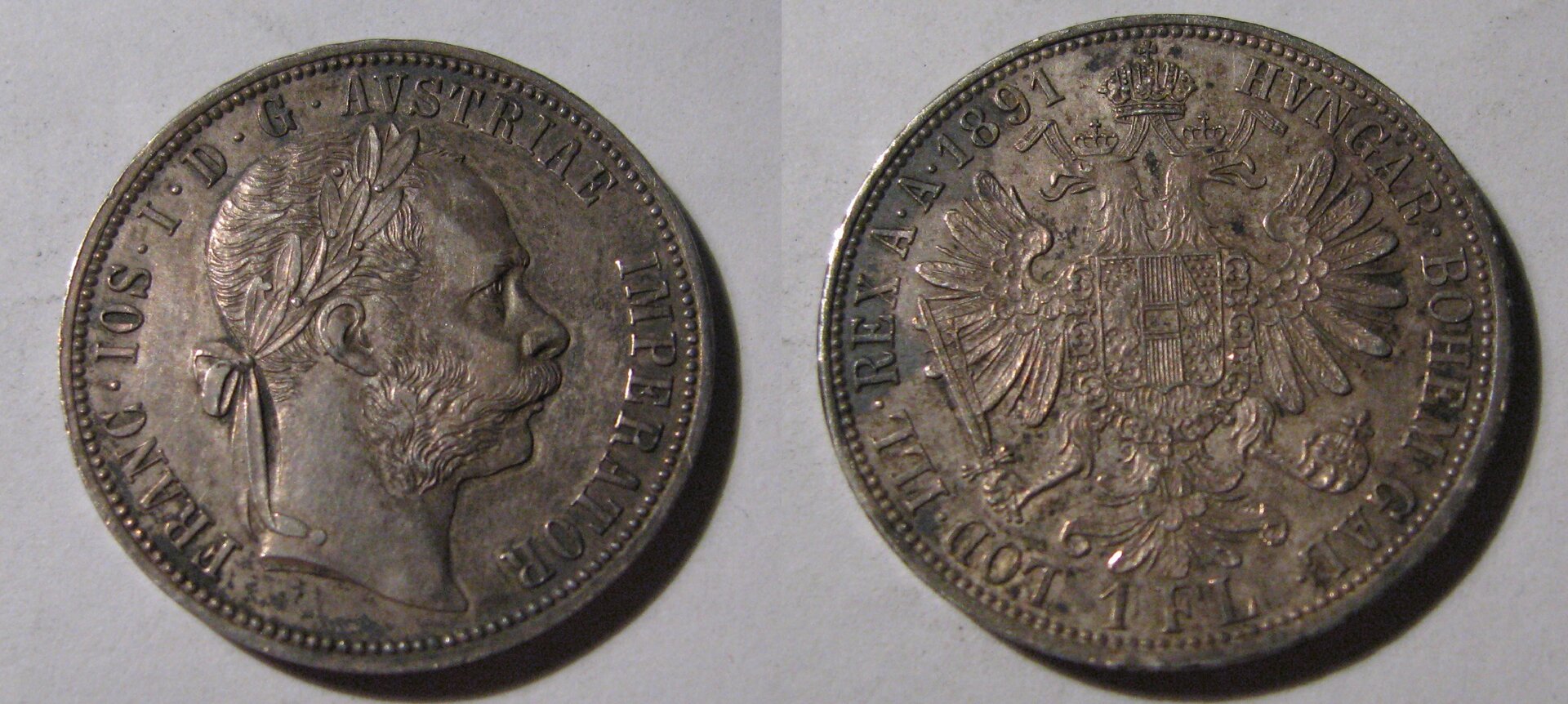 1891 Austria Florin.jpg