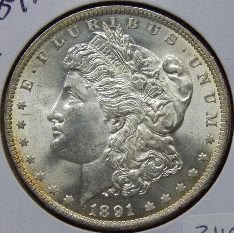 1891 Morgan Dollar 4 obv.jpg