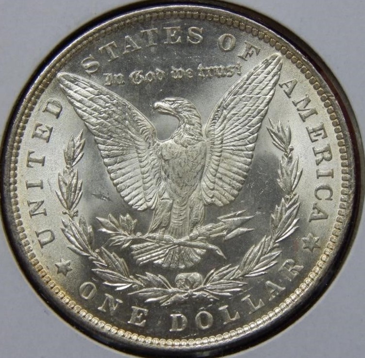 1891 Morgan Dollar 4 rev.jpg