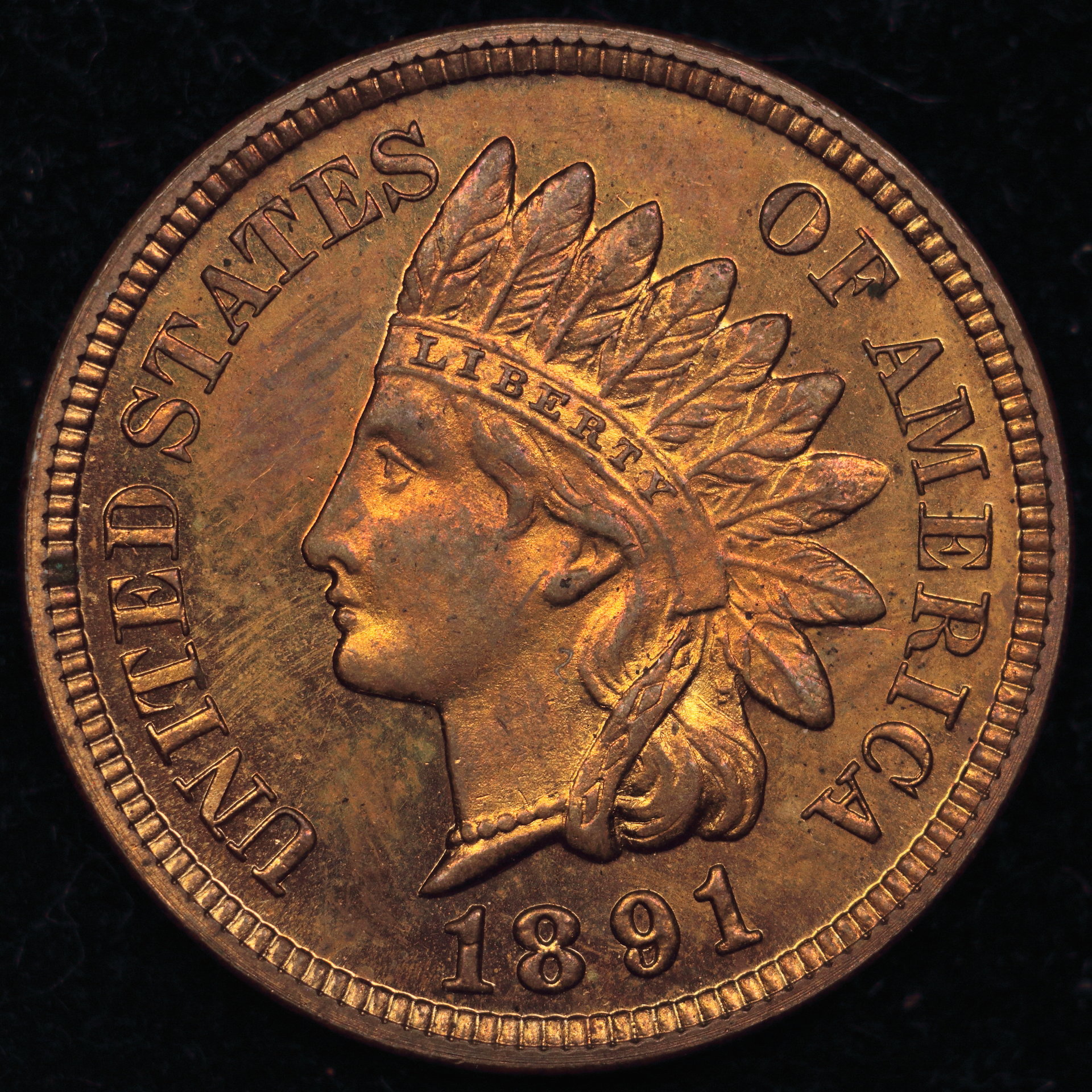 1891 Obv..JPG