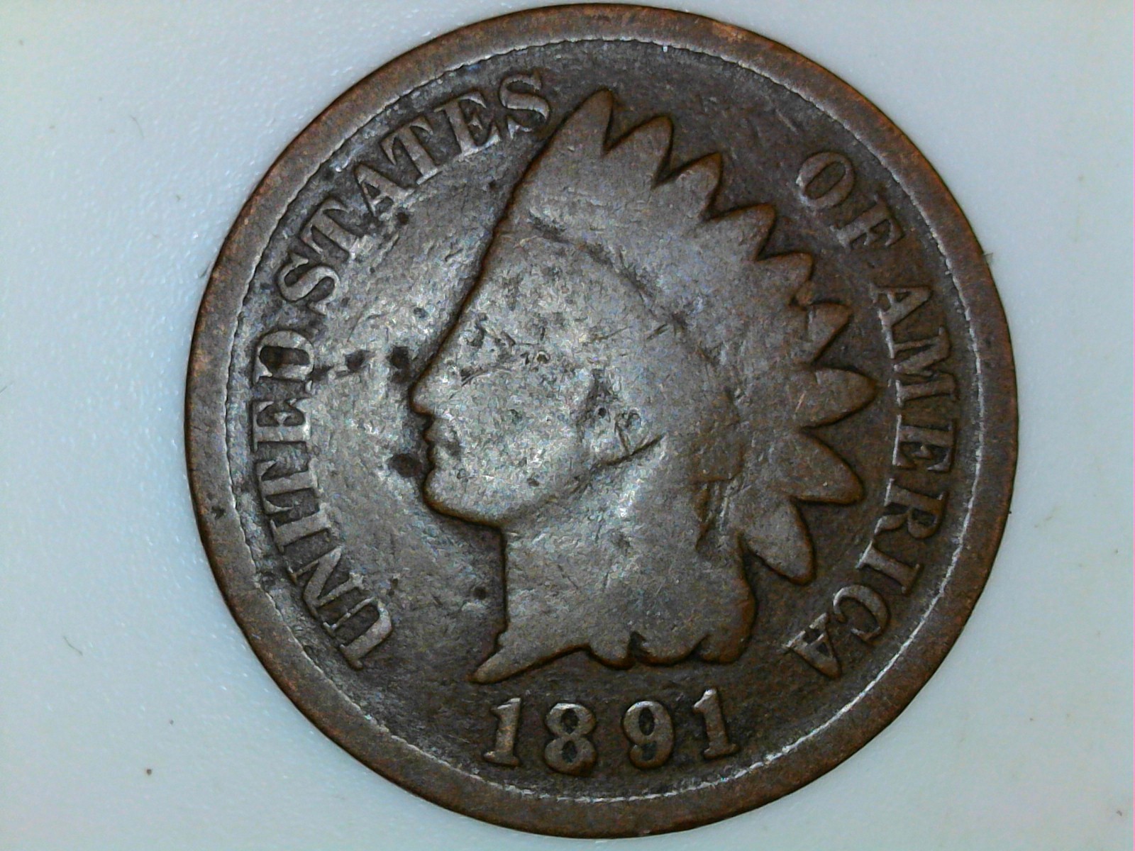 1891-obv.jpg