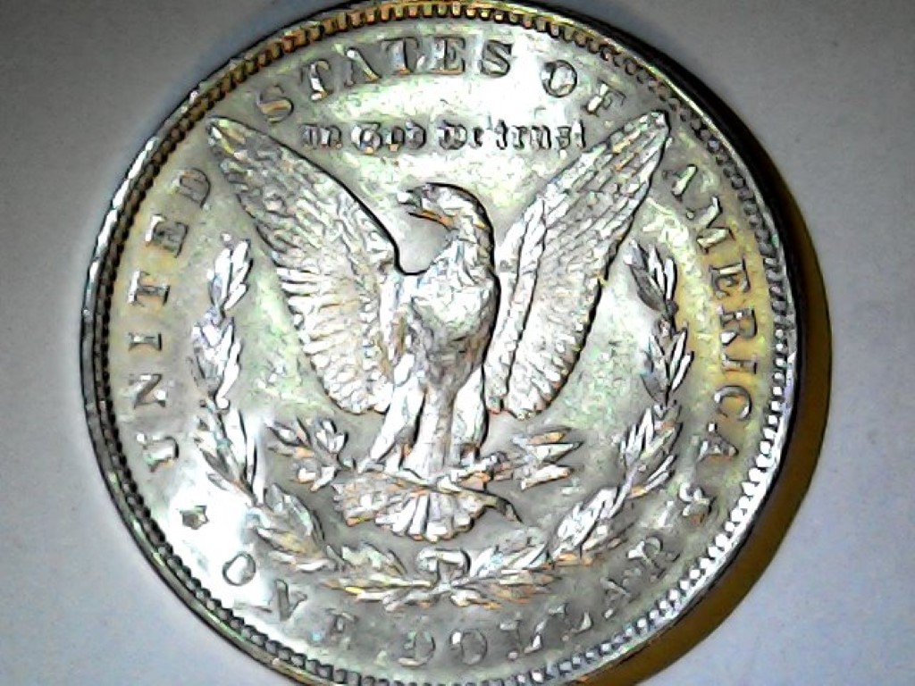 1891-P Reverse.jpg