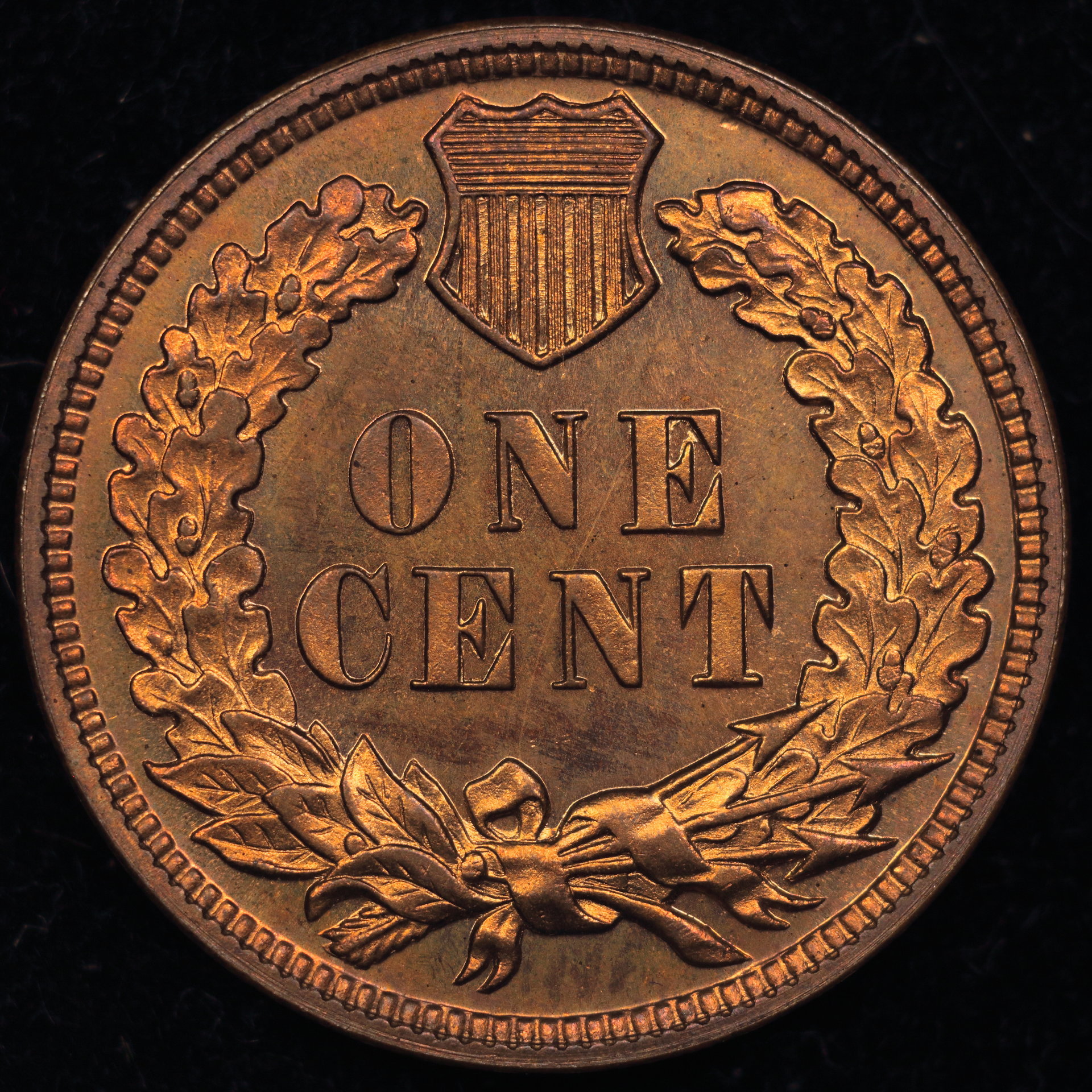 1891 Rev..JPG