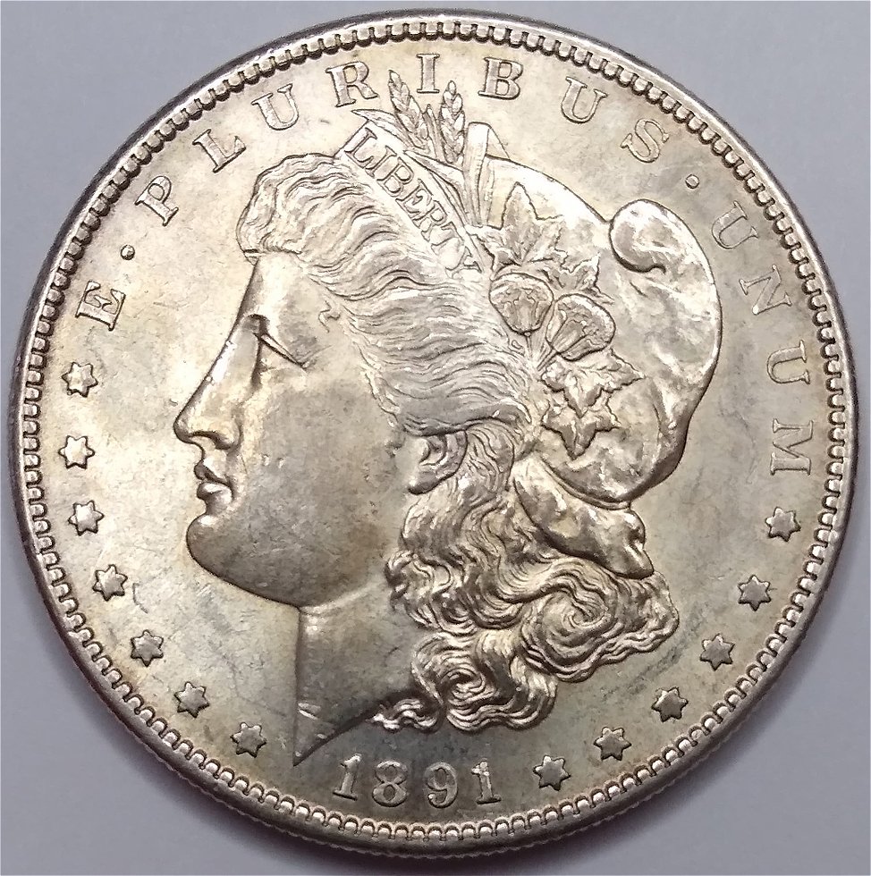 1891 S Obverse.jpg