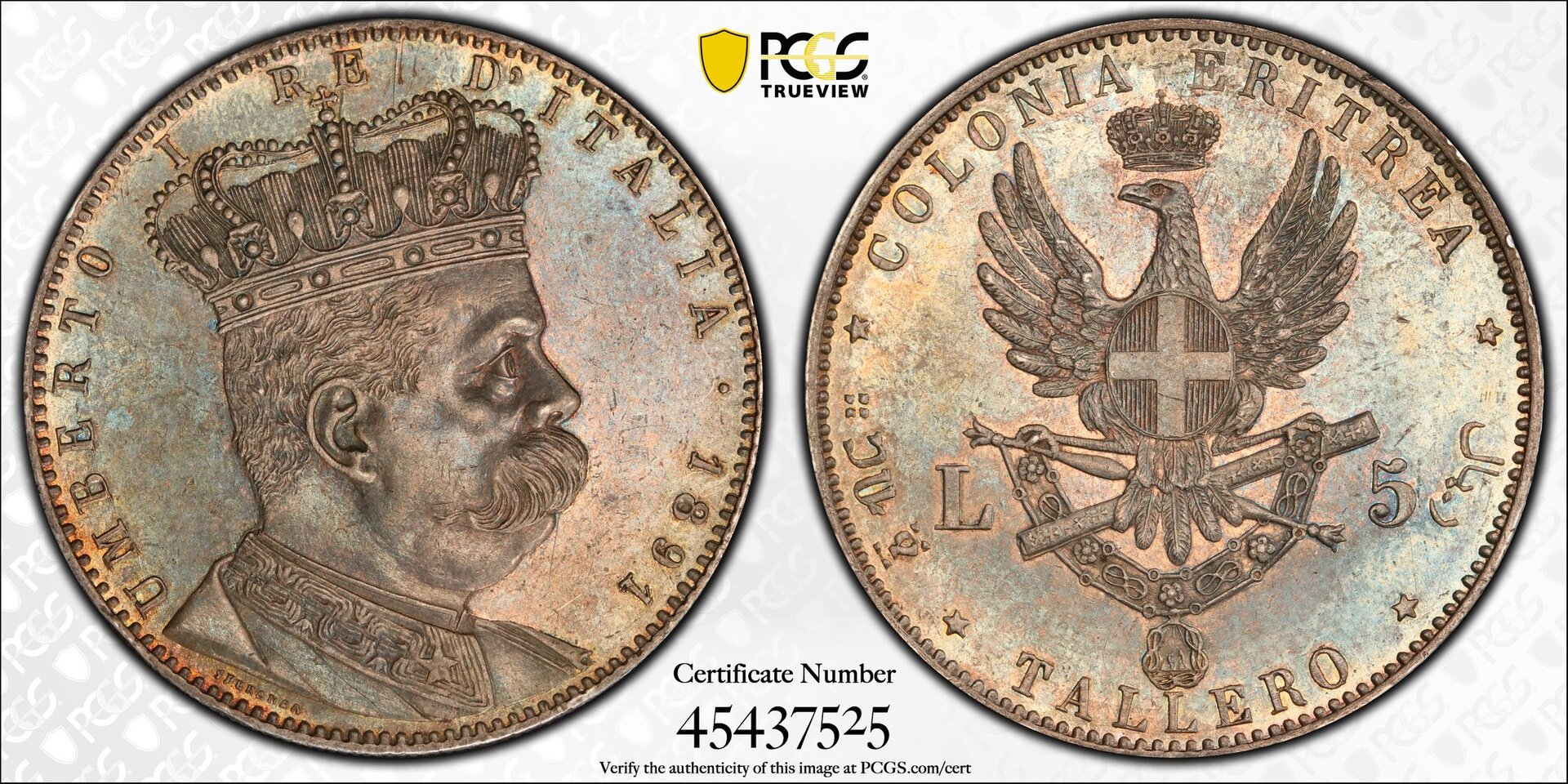 1891_ER_1T_trueview.jpg