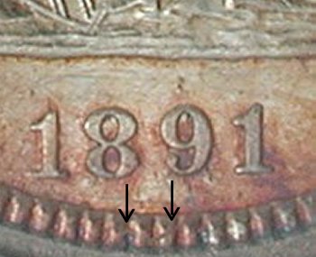 1891_macro.jpg