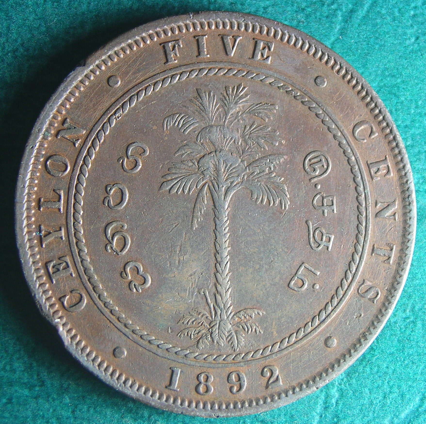 1892 Cey 5 c rev.JPG