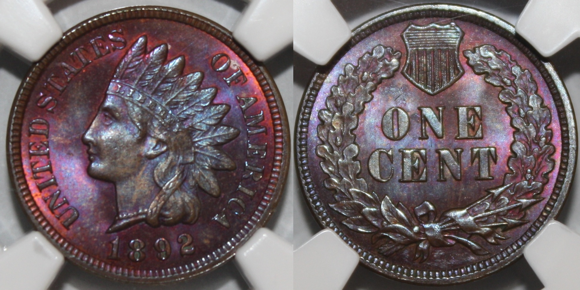1892_3.jpg