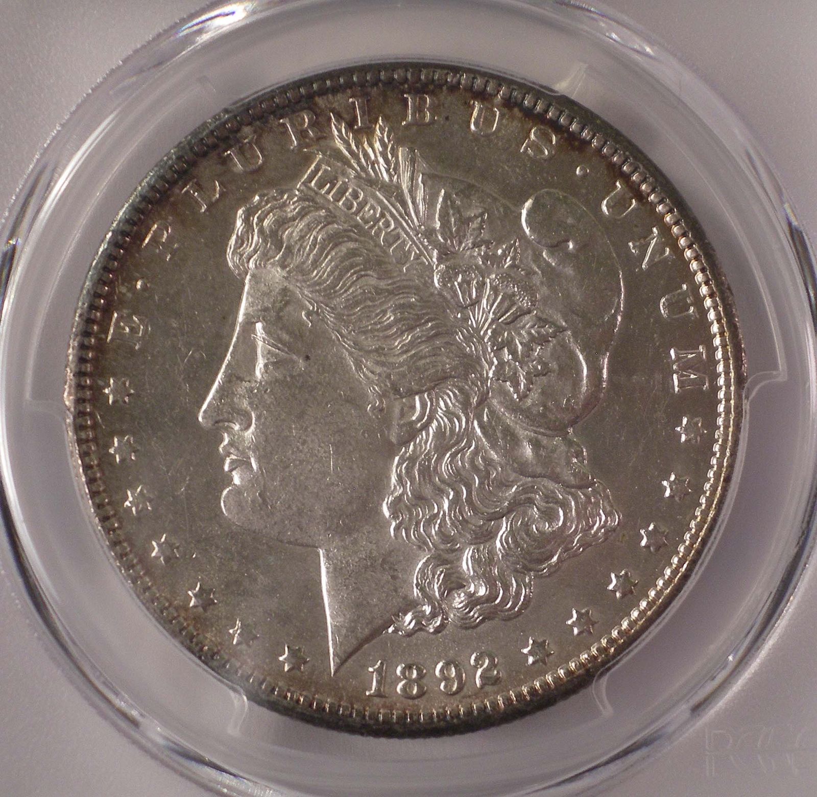 1892CC Morgan Obverse.jpg