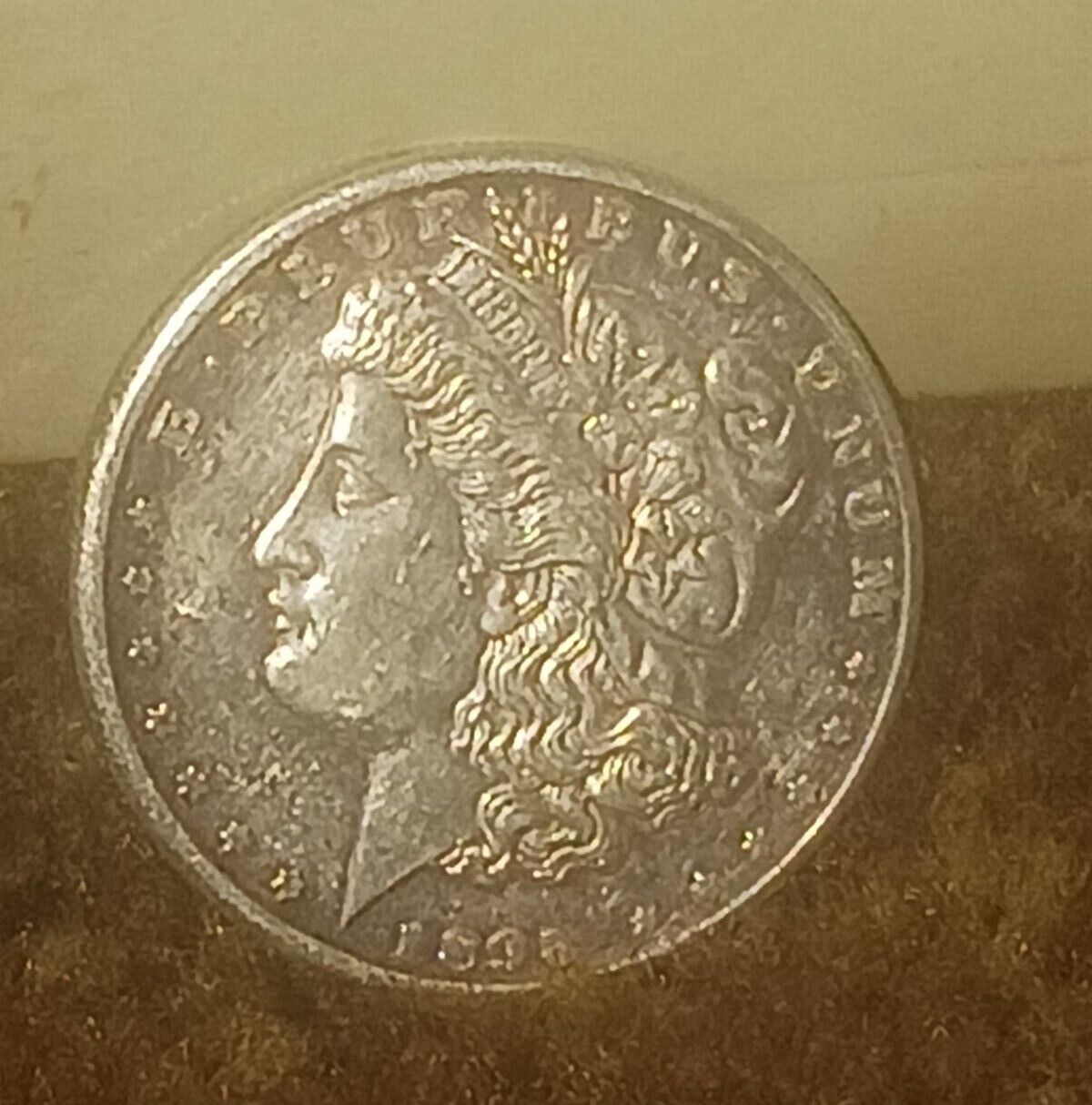 1893-cc_fake_obv.jpg
