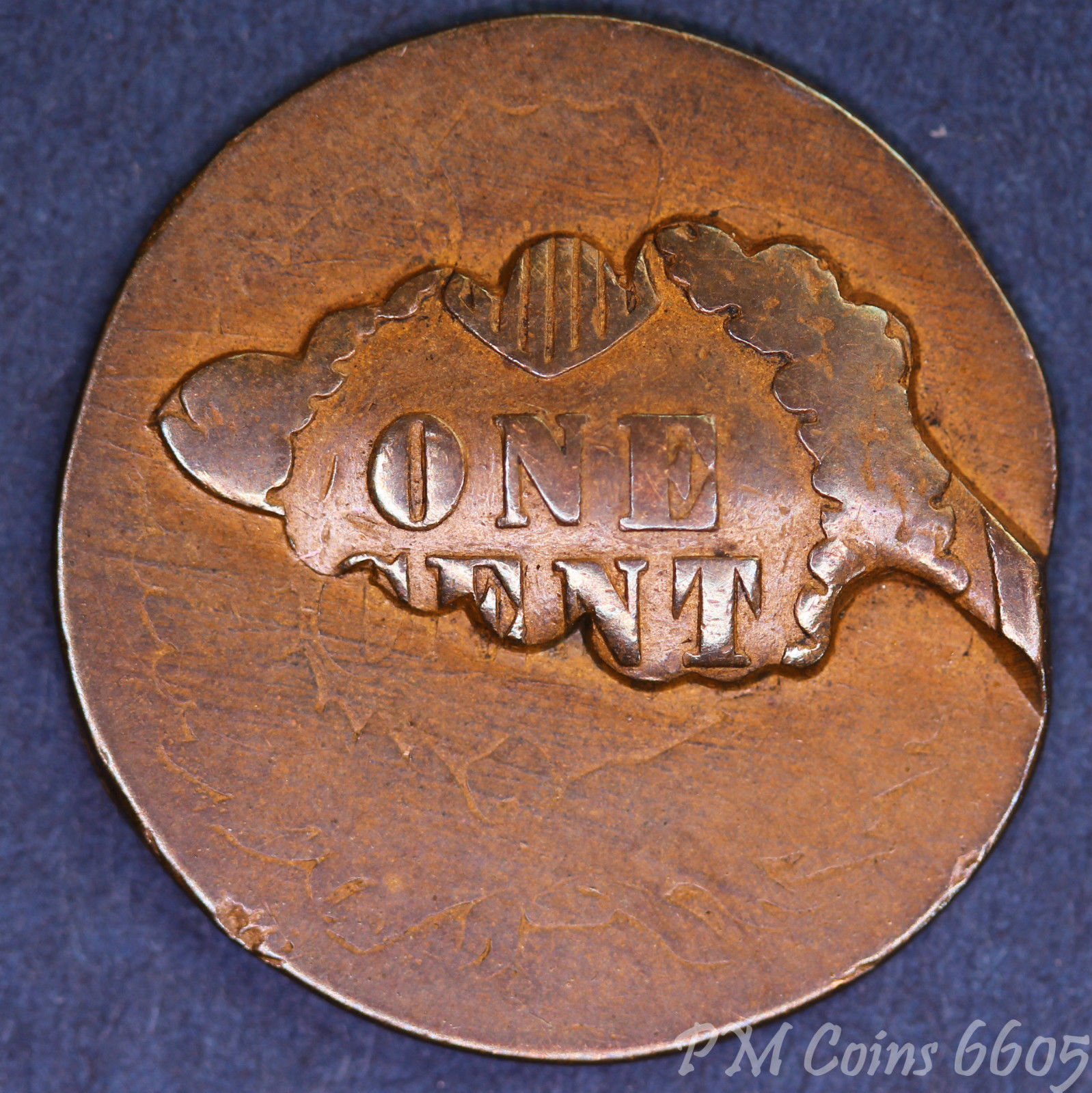 1893 cent rev.jpg