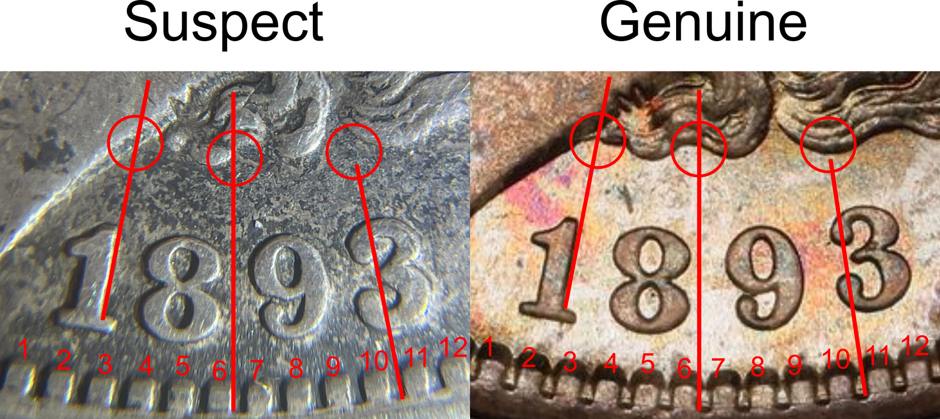 1893-S.png
