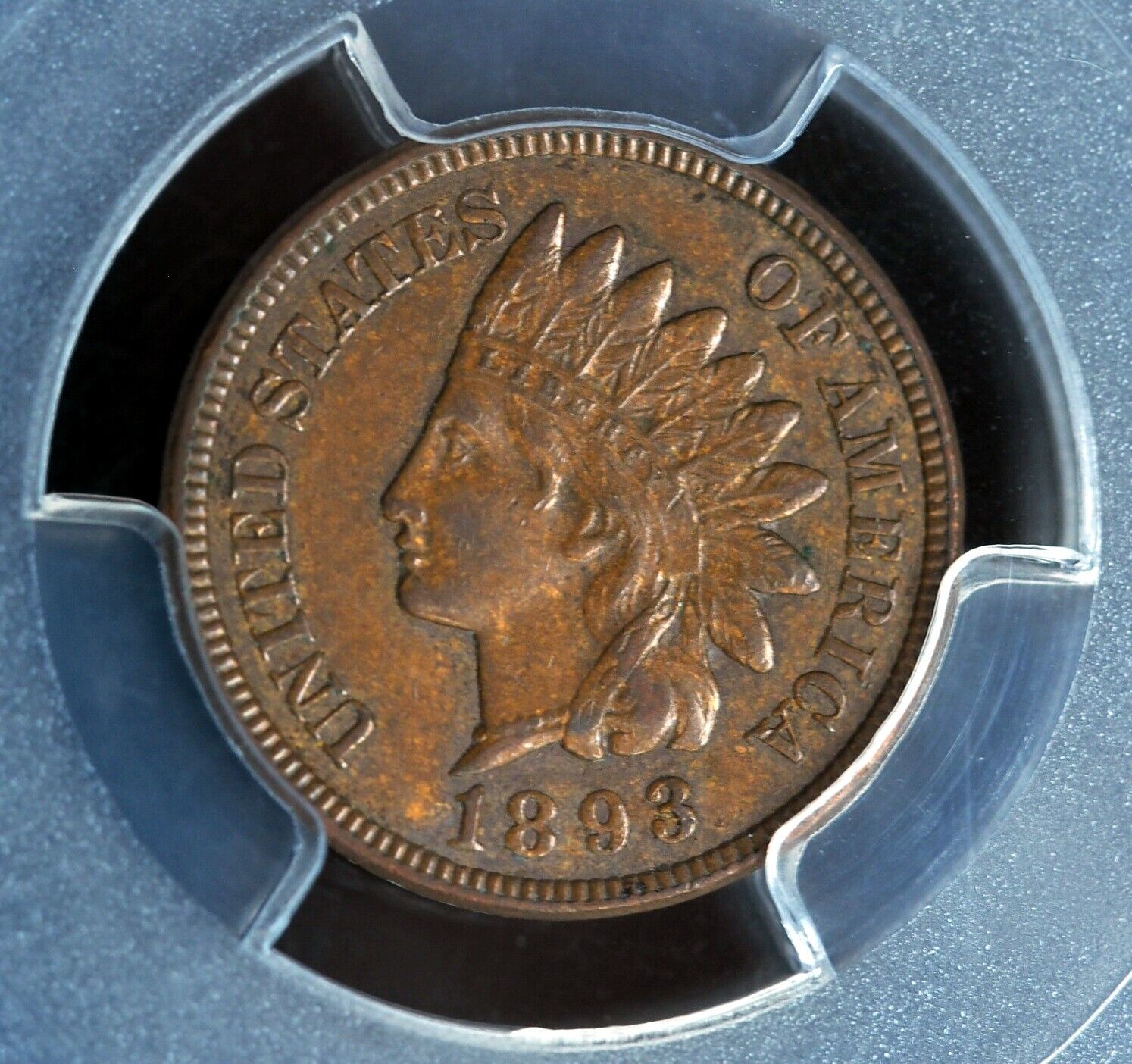 1893obv.jpg