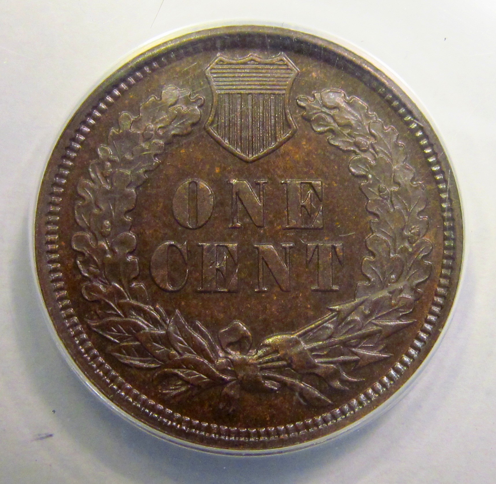1893PR-R.jpg