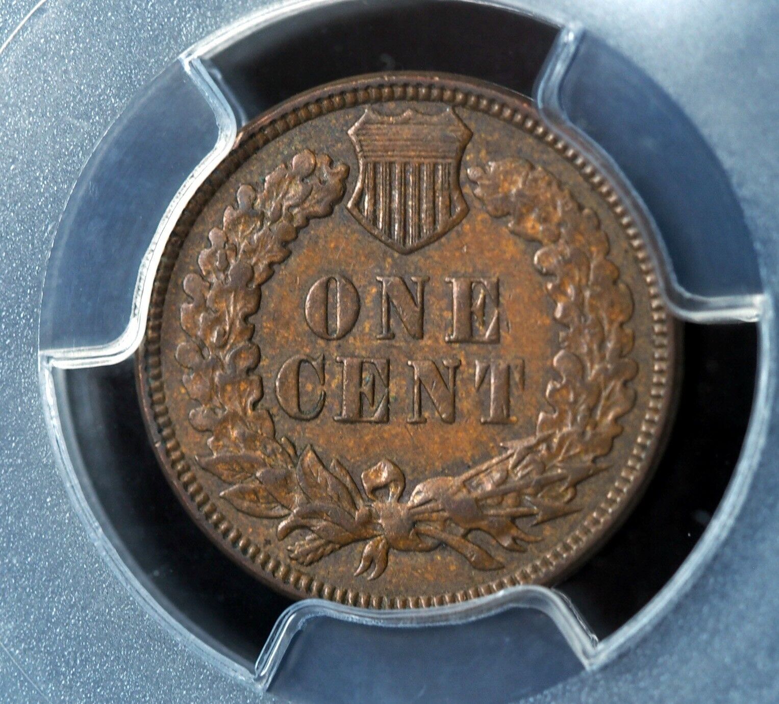 1893rev.jpg