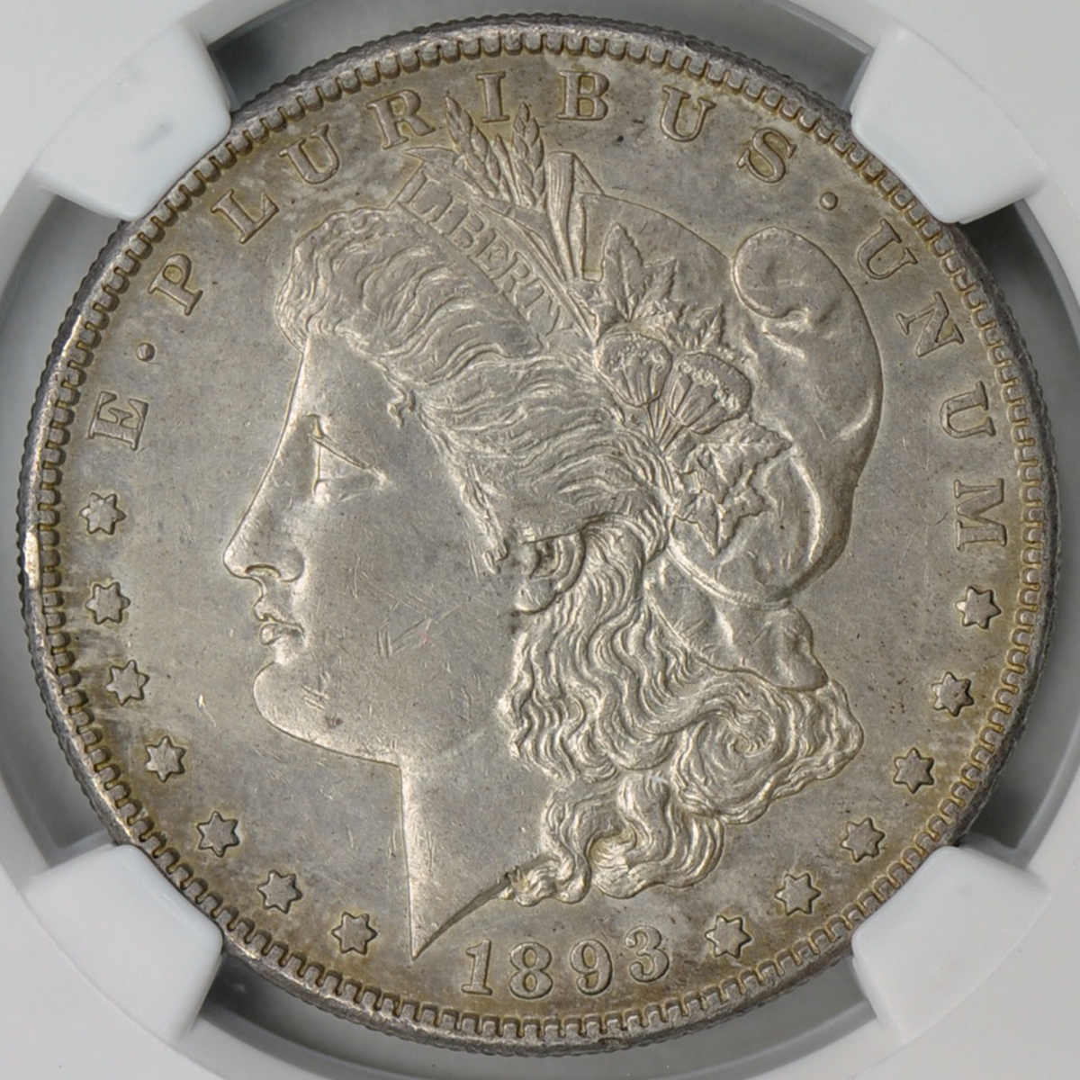1893S.jpg