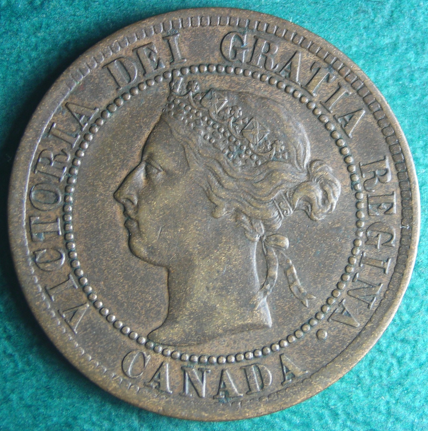 1894 CA 1 c obv.JPG