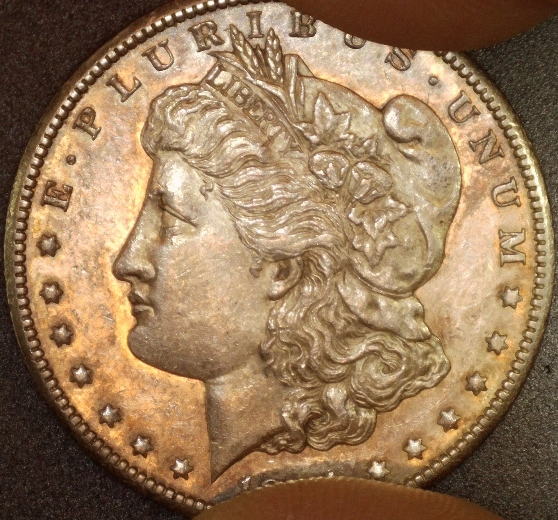 1894-S Morgan Obv 13MP Tilted.JPG