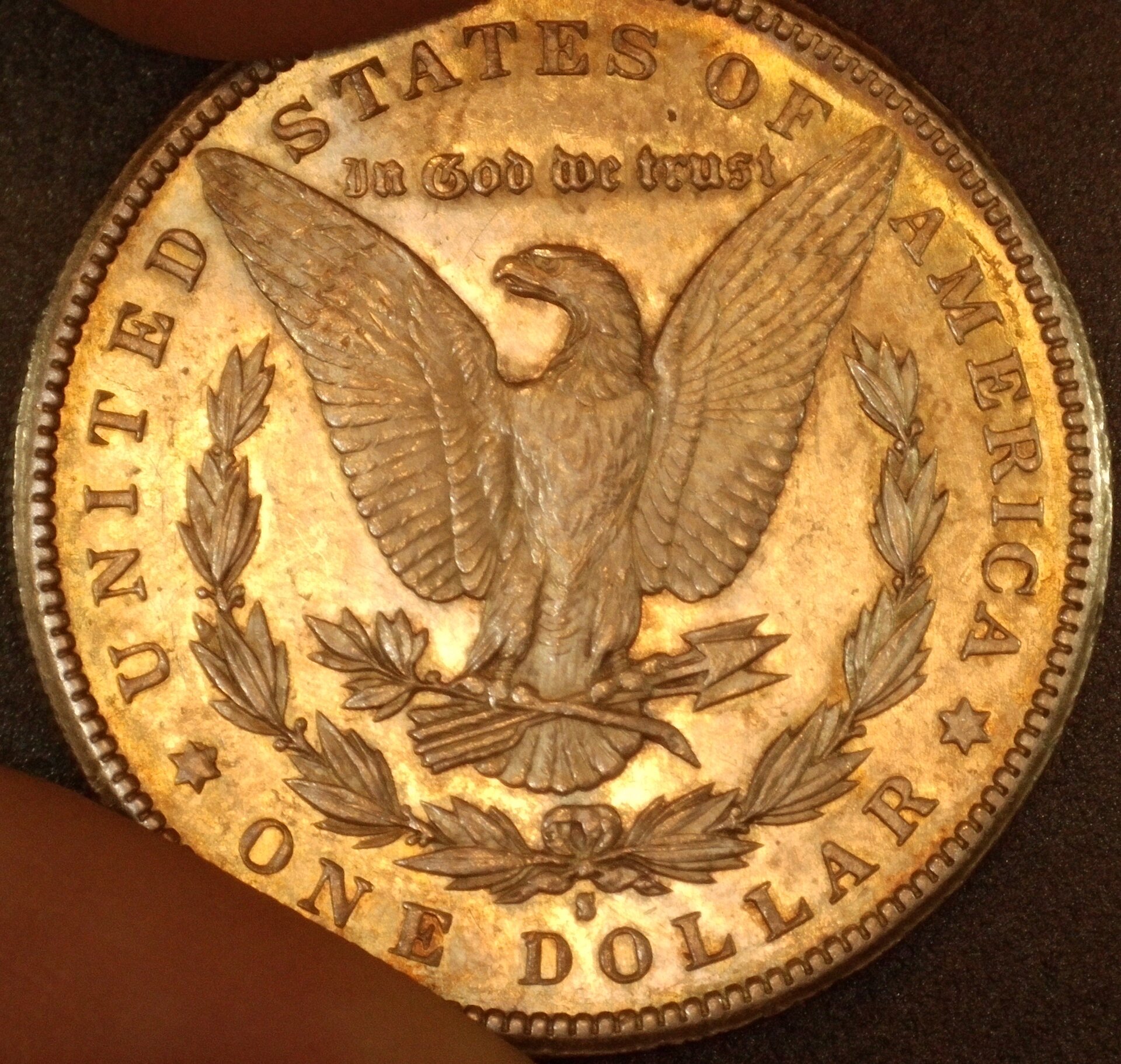 1894-S Morgan Rev 13MP Tilted.JPG