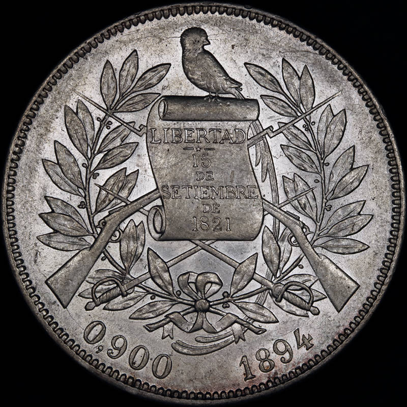 1894_GT_1peso_1b_DPP_2017_03_24__0100.jpg