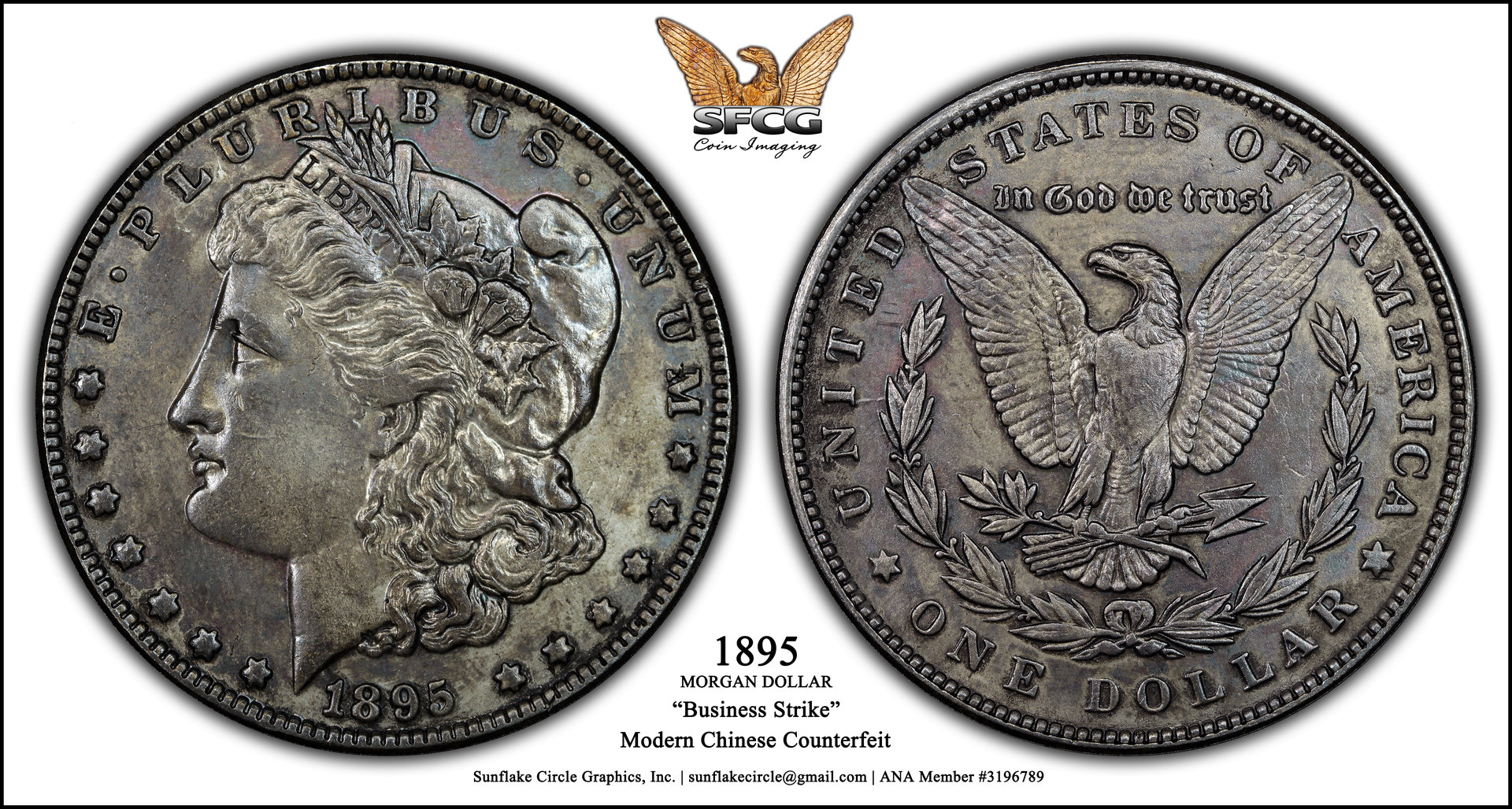 1895 (1).jpg