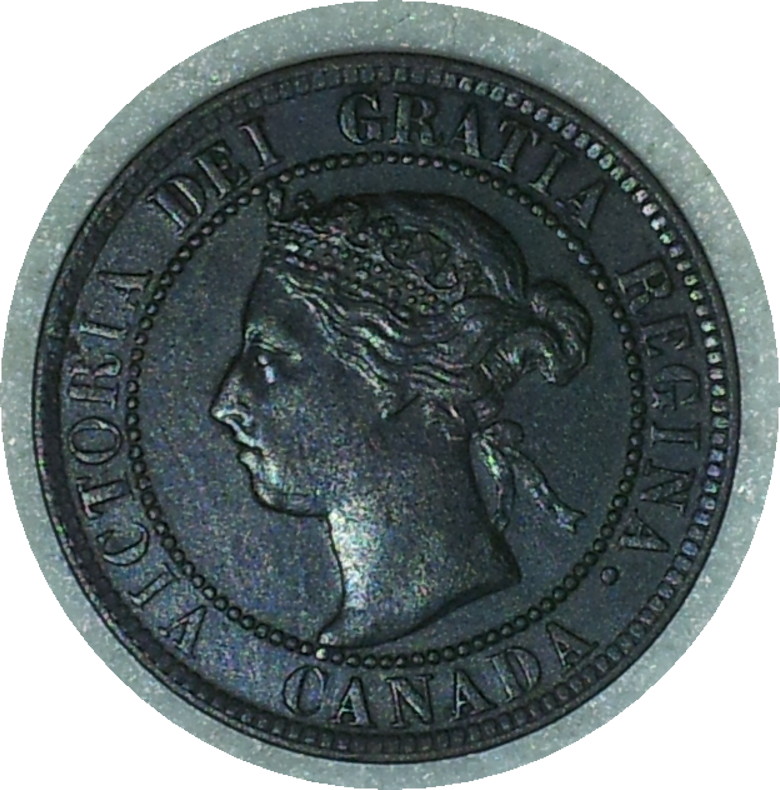 1895 CAN Large Cent Obv.JPG