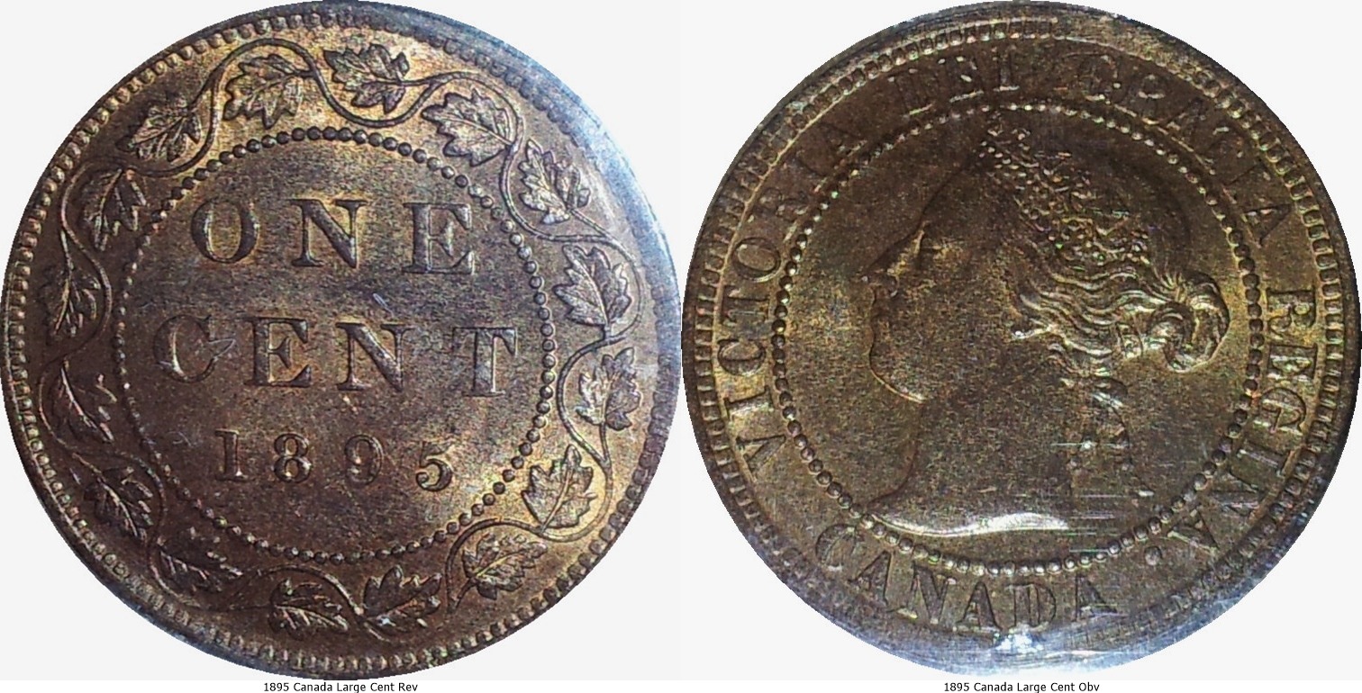 1895 Canada Large Cent Rev-tile.jpg