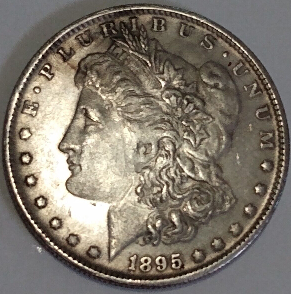 1895-CC Bad Dollar O.jpg