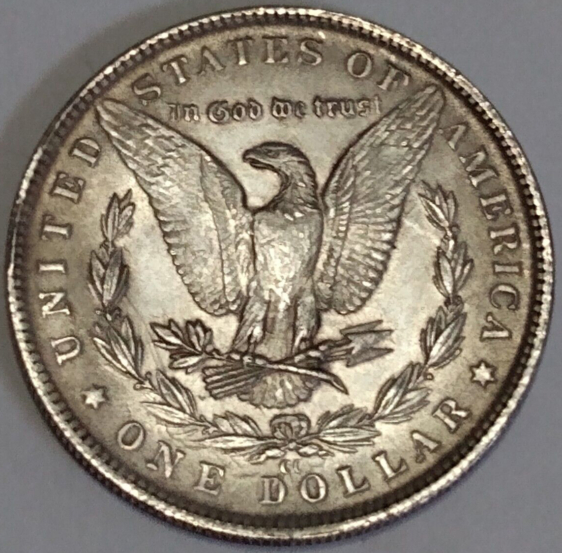 1895-CC Bad Dollar R.jpg