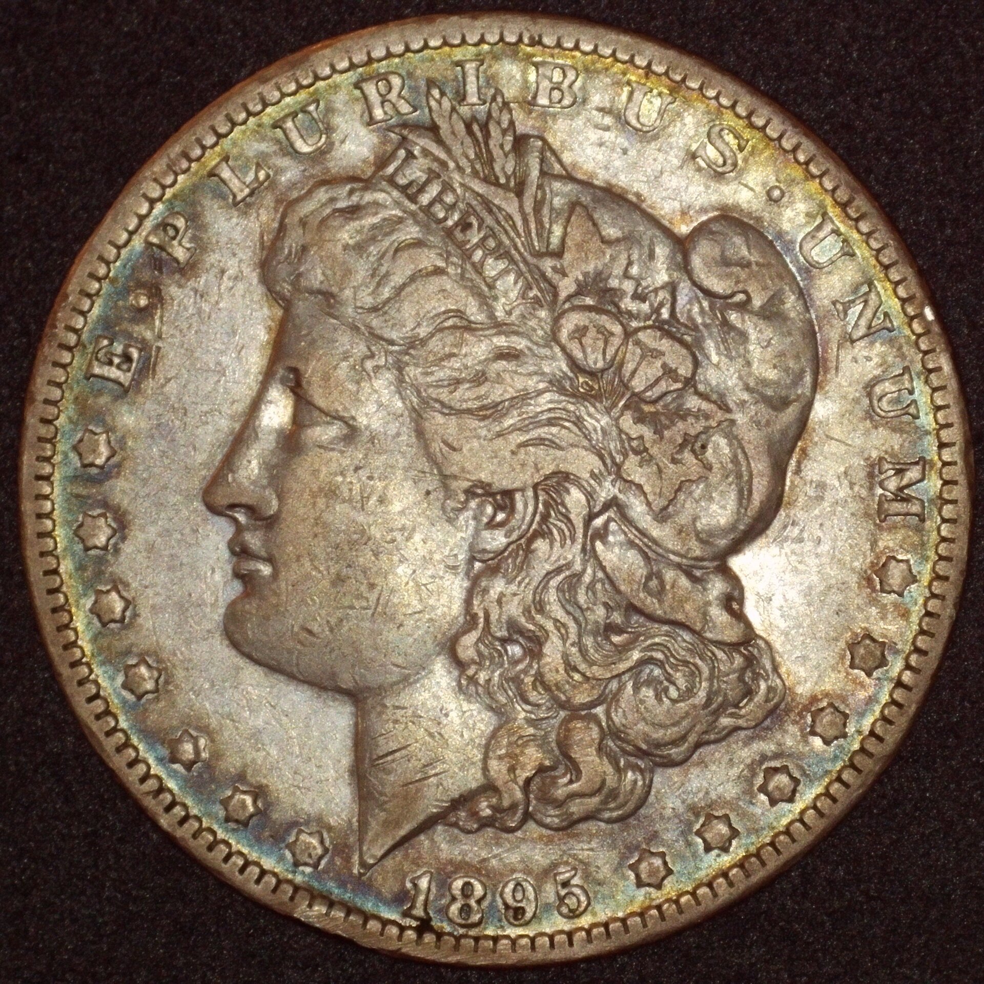 1895-O $1 Obv 13MP.JPG