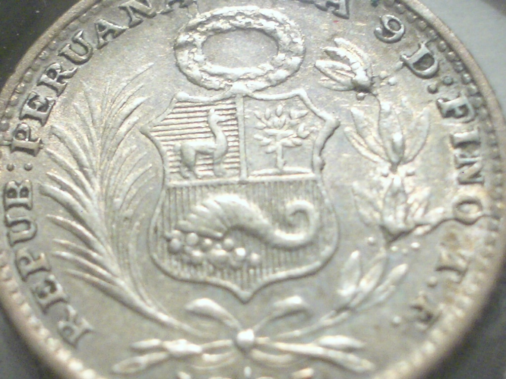 1895 Peru CU rev.JPG