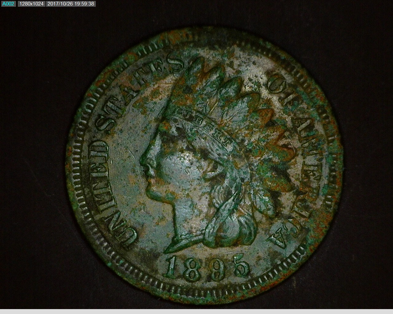 18951.jpg