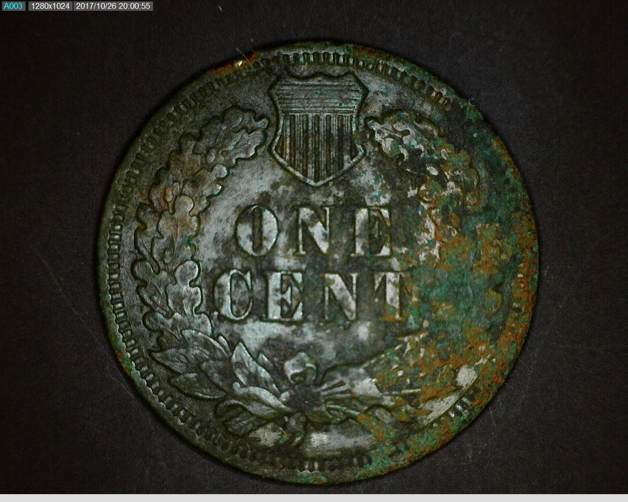 18952.jpg