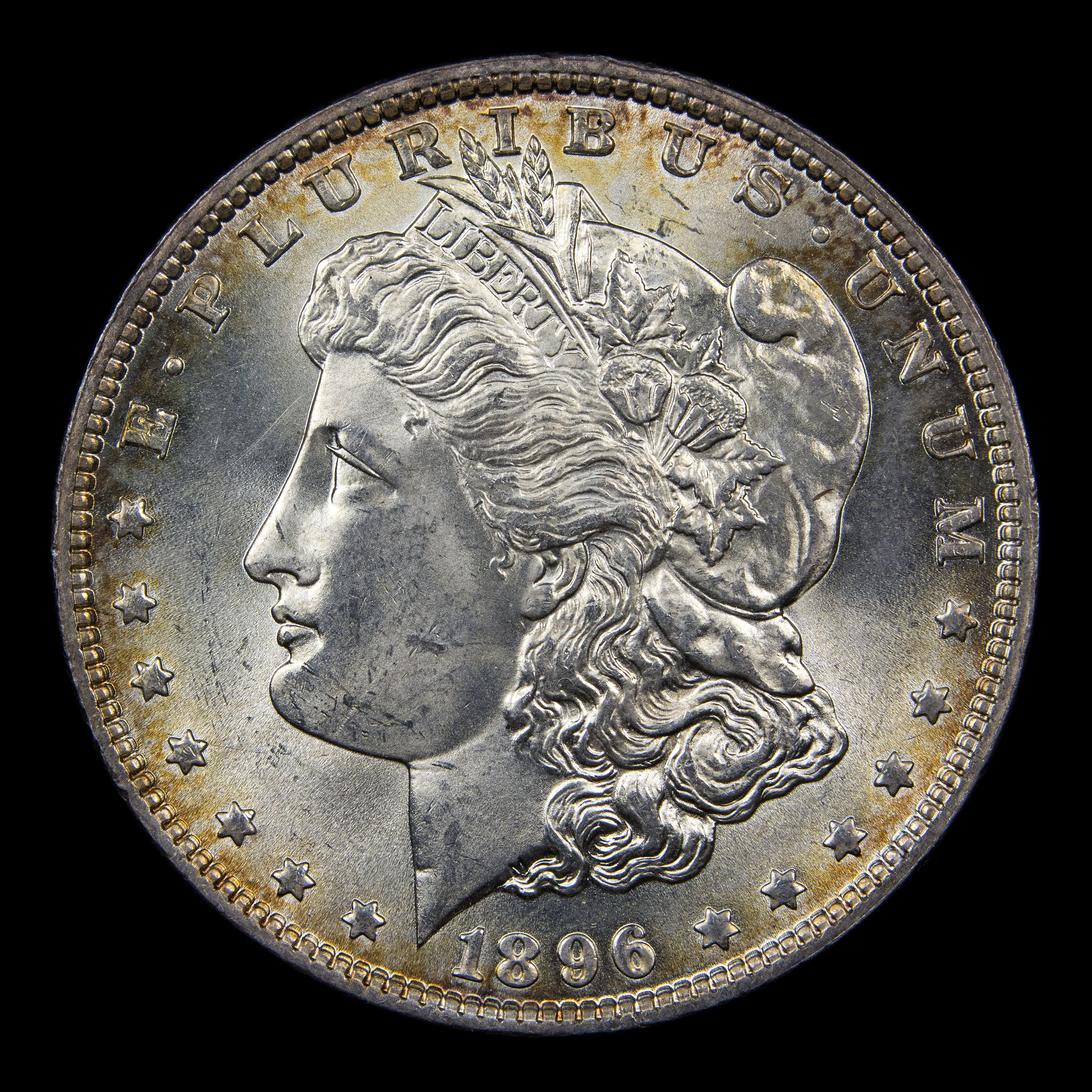 1896 Morgan Dollar Obverse.jpg