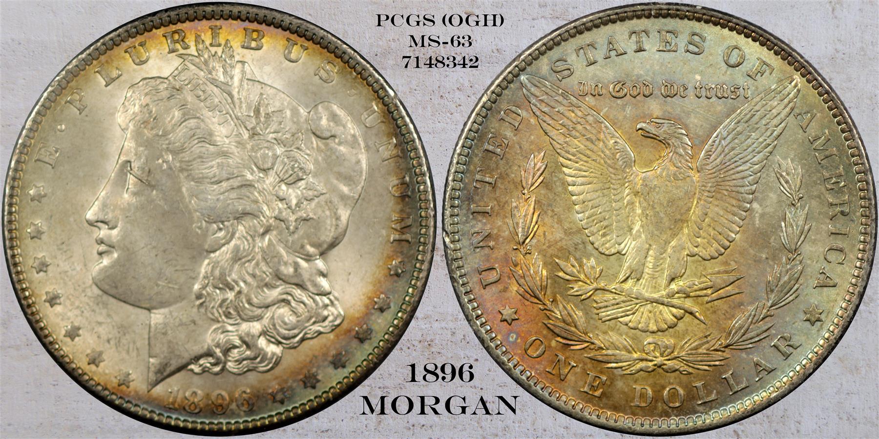 1896 ms63 (Custom).jpg
