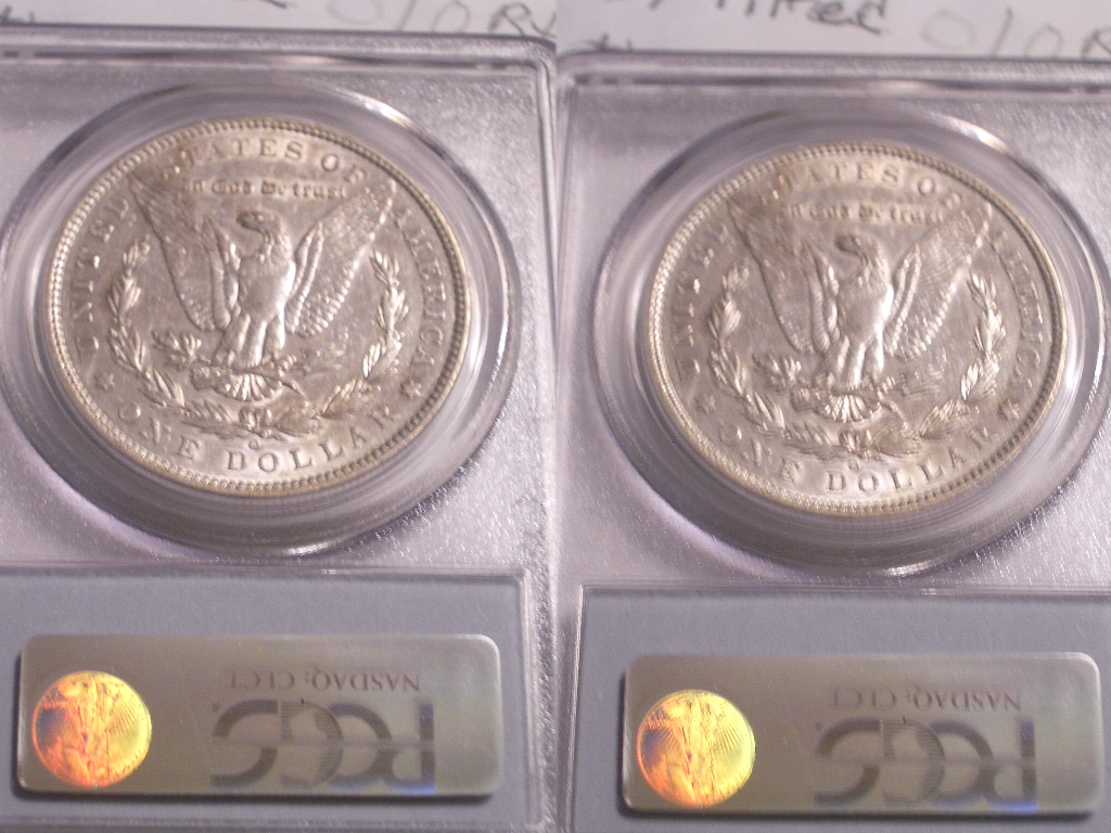 1896-O MD Pcgs holder rev.JPG
