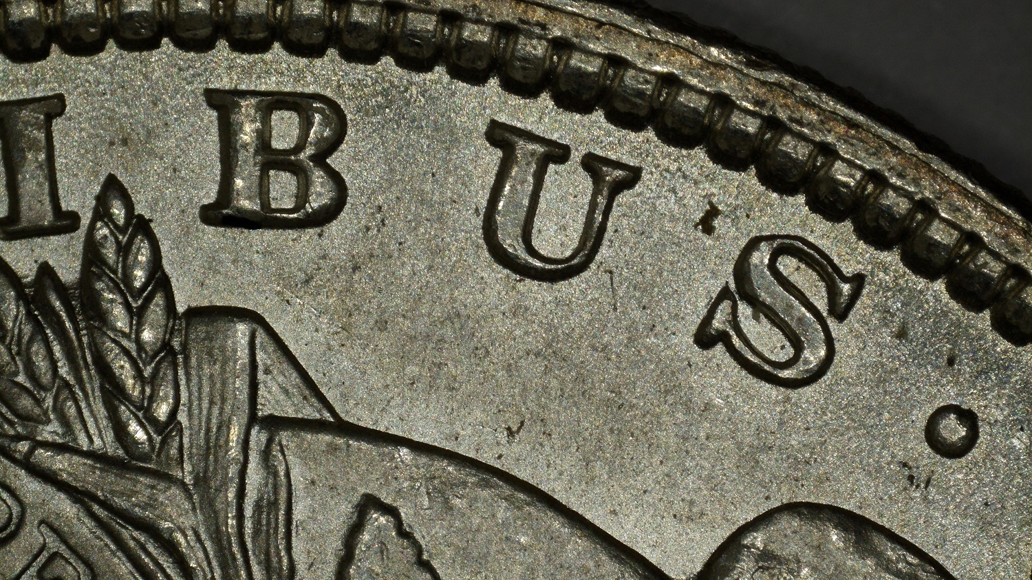 1896 (P) $1 Obv IBUS Resized.jpg