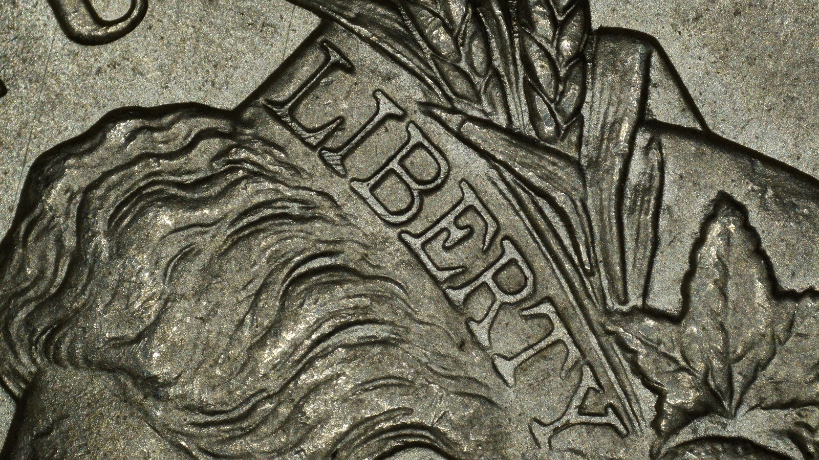 1896 (P) $1 Obv Liberty Resized.jpg
