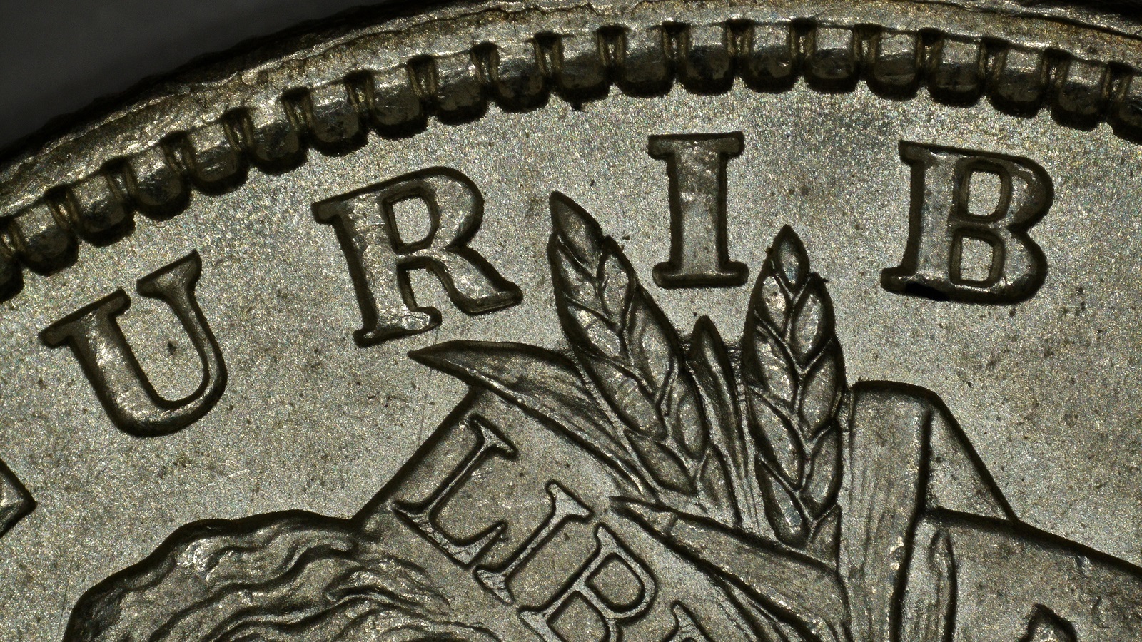 1896 (P) $1 Obv Wheat Resized.jpg
